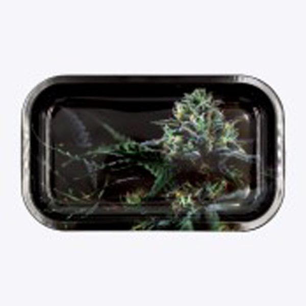 photo cbd