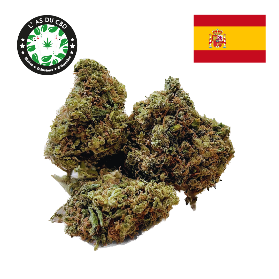 H4CBH×CRDP total95% 1ml Bubba Kush Bubba Kush - L'as du CBD
